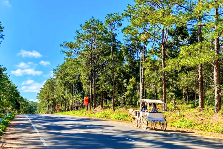 Tour Gia Lai